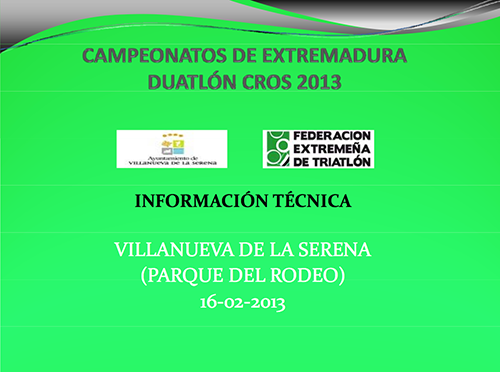Información Técnica Villanueva 2013